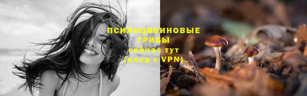 а пвп мука Вяземский