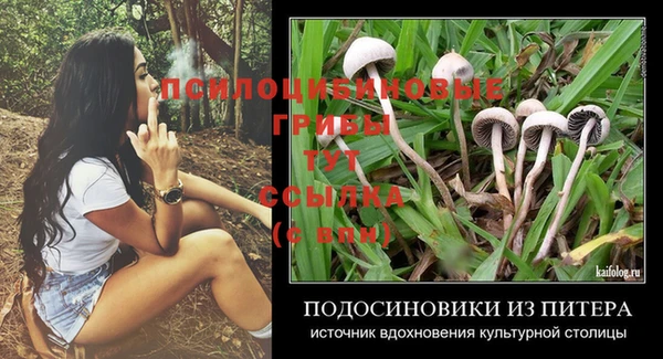 дурь Волоколамск