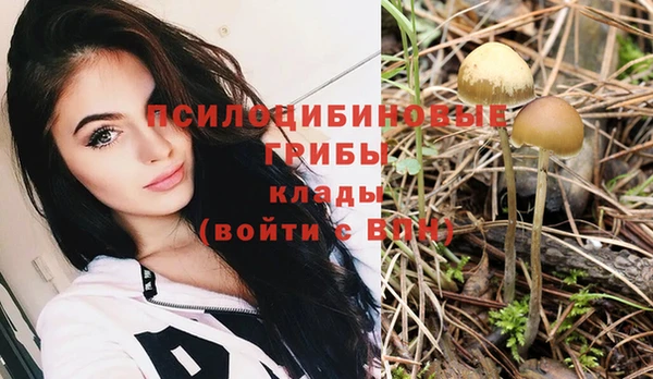 jwh Вязьма