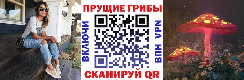 Купить закладки  Похвистнево  Галлюциногенные грибы ЛСД 